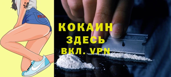 молекула духа Абинск