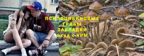соль ск Алексеевка