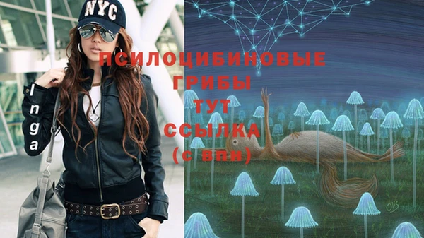 соль ск Алексеевка