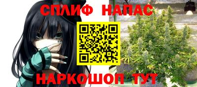 прущие крисы Кандалакша