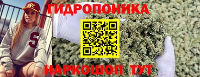 альфа пвп Камышлов