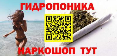 прущие крисы Кандалакша