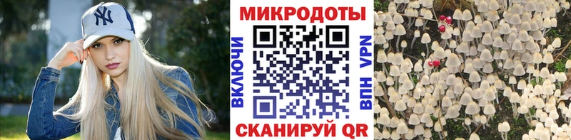 Псилоцибиновые грибы ЛСД  darknet клад  Новочеркасск 