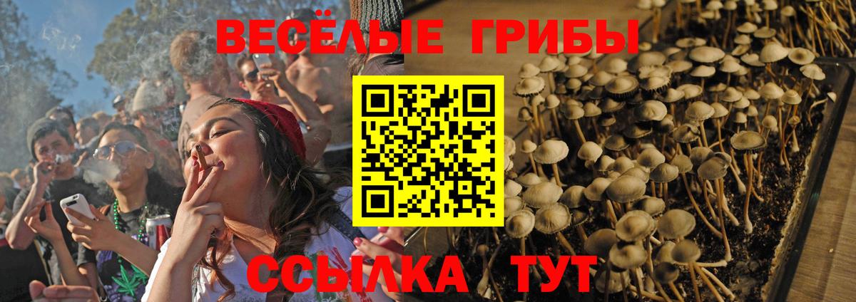 Новочеркасск  Галлюциногенные грибы прущие грибы  Вход с VPN 