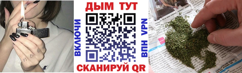 Марихуана SATIVA & INDICA  купить наркотики сайты  Новочеркасск 